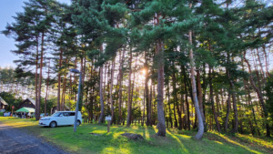 青森県西北アウトドア情報－鯵ヶ沢キャンピングパーク