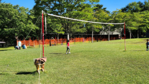 青森県西北アウトドア情報－鯵ヶ沢キャンピングパーク