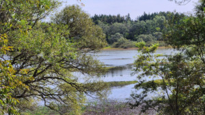 青森県西北アウトドア情報－芦野公園オートキャンプ場