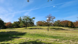 青森県西北アウトドア情報－芦野公園オートキャンプ場