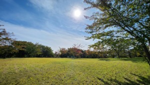青森県西北アウトドア情報－芦野公園オートキャンプ場