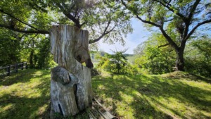 青森県西北アウトドア情報－芦野公園オートキャンプ場