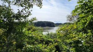 青森県西北アウトドア情報－芦野公園オートキャンプ場