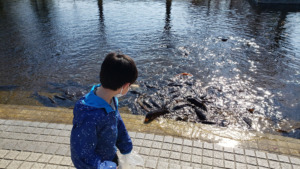 青森県西北アウトドア情報－板柳町ふるさとセンター