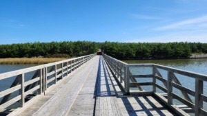 青森県西北アウトドア情報－十三湖中の島ブリッジパークキャンプ場