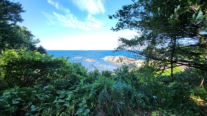 青森県西北アウトドア情報－岡崎キャンプ場